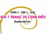 Bài 7 trang 20 Toán 12 tập 1 Cánh Diều